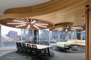 Yarra Valley Commercial office fitout